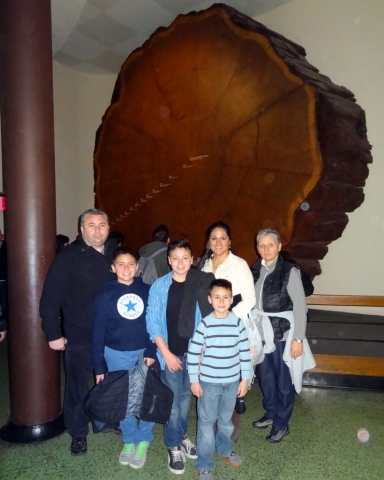 American Museum of Natural History, New York, USA 2014
