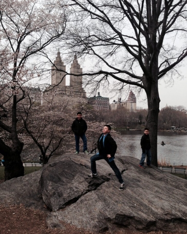 Central Park, New York, USA 2014